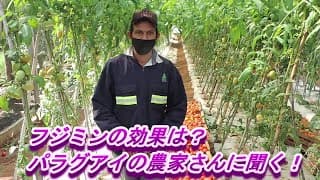 高濃度フルボ酸の植物活性剤　フジミン®